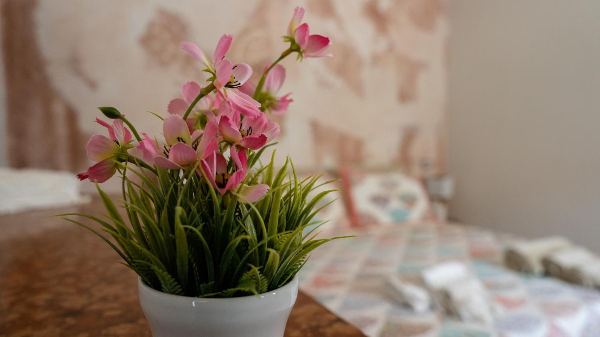 B&B Da Carmela Sant'Ambrogio sul Garigliano 외부 사진